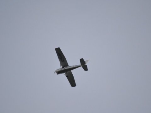 Təyyarə timsahlar olan çaya düşdü - Pilot öldü