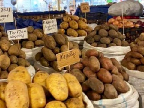 Azərbaycanda kartof bahalaşıb - SƏBƏB