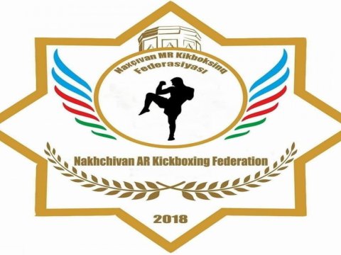 Naxçıvanda Kikboksinq Federasiyasının fəaliyyəti dayandırıldı