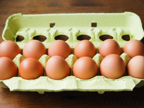 ABŞ-də yumurta qıtlığı yaşanır