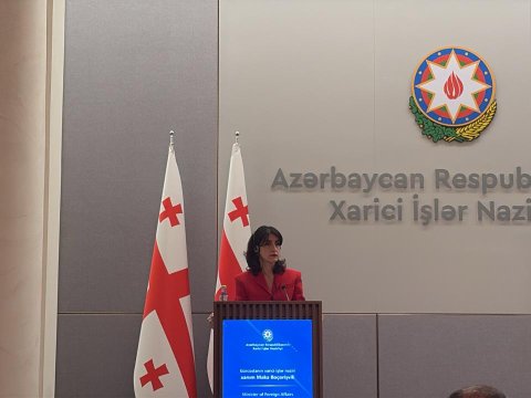 Gürcüstan regionda sülhün tərəfdarıdır - Nazir