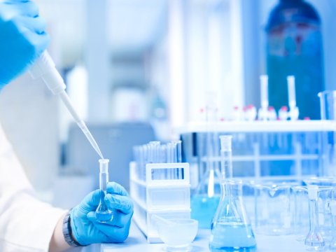 300-dək alimə ayda 1000 manat veriləcək - RƏSMİ