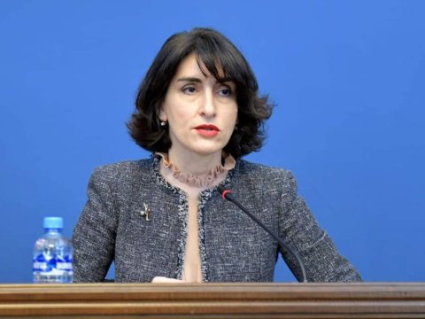 İndi Azərbaycanla əməkdaşlıq potensialı daha çoxdur -&nbsp;Gürcüstanın XİN başçısı