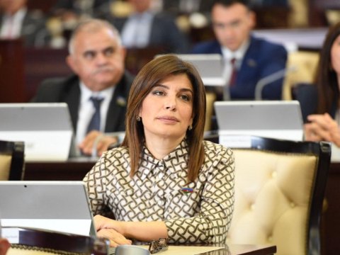 O gecə yaşadığımız dövlətə inamımız sarsıldı - Deputat