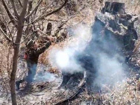 Qəbələdə meşə yanıb -&nbsp;VİDEO