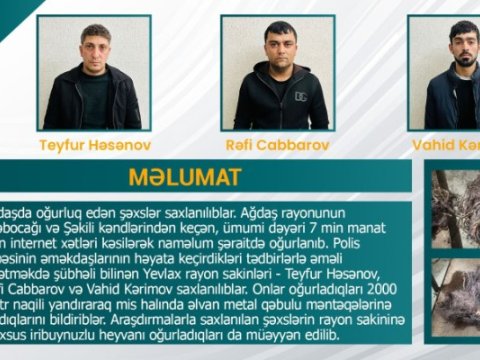 7 min manatlıq internet xətlərini kəsərək oğurladılar&nbsp;- VİDEO