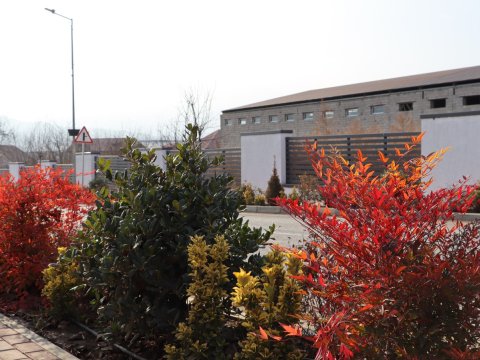 Xocalı şəhəri yaşıllığa bürünür - FOTOLAR