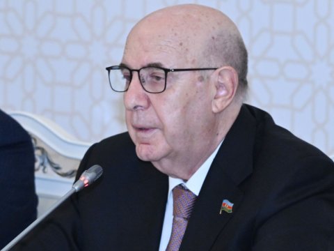 "Səhiyyəni iqlim dəyişikliklərinin təsirlərinə uyğunlaşdırmalıyıq"