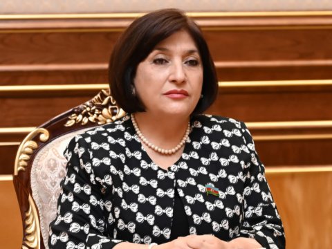 Sahibə Qafarova İtaliya Senatının üzvləri ilə görüşdü