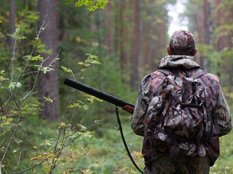 Azərbaycanda ov mövsümü BAŞLADI