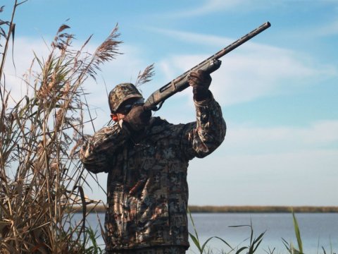 Neftçalada ov qaydalarını pozanlar saxlanıldı
