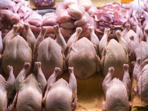 Bəzi ölkələrdən Azərbaycana heyvan mənşəli məhsulların gətirilməsinə məhdudiyyət qoyuldu