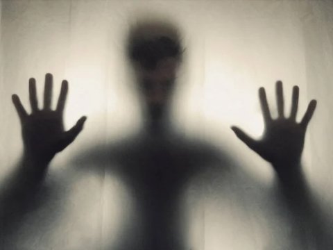 Psixi pozuntu halları olan qanunsuz miqrantlarla əlaqədar həyata keçiriləcək tədbirlər açıqlandı