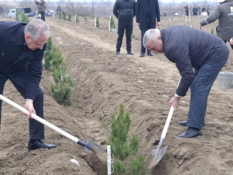 Ölkə ərazisində meşəbərpa tədbirləri&nbsp;davam edir&nbsp;- FOTOLAR