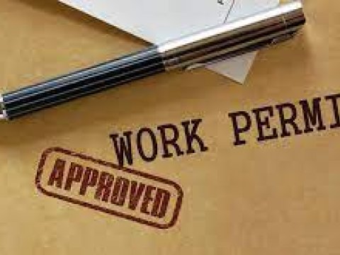 Bu şəxslərə iş icazələrinin verilməsi sadələşdirilir