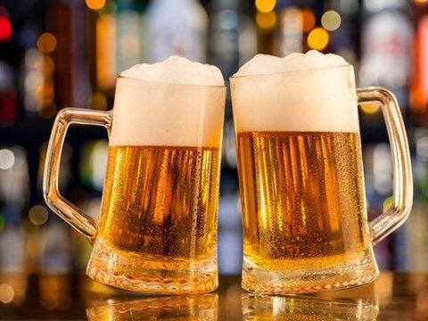 Pivənin vətəni təsdiqləndi