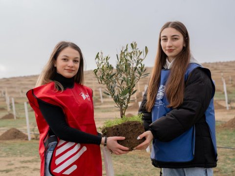 Gənclər ağacəkmə aksiyasında - FOTOLAR