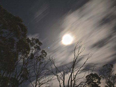Küləyin sürəti güclənib - Faktiki hava