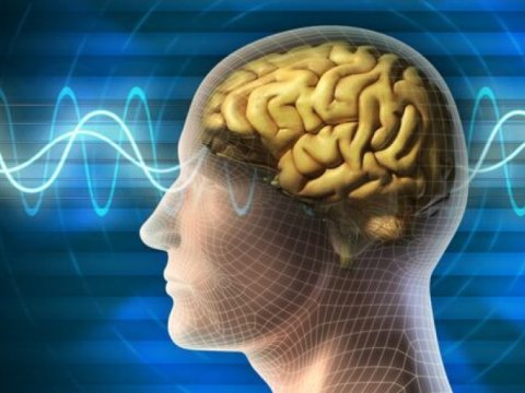 İnsan beynində mikroplastik aşkarlandı - İLK DƏFƏ