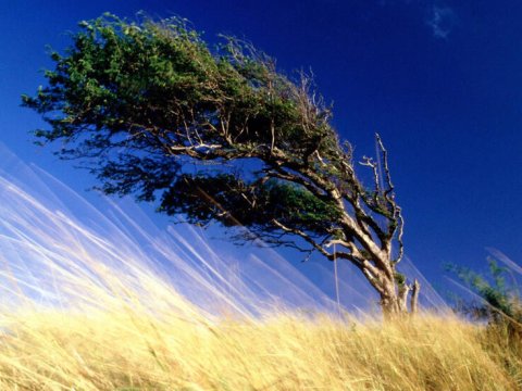 Nazirlikdən hava şəraiti ilə bağlı əhaliyə müraciət