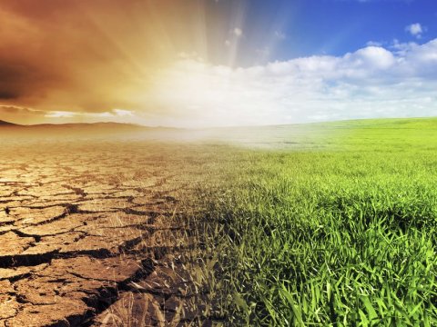 "Deyirlər bir kisə torpaq gətirin analiz edək"