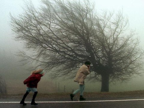 Külək nə vaxt dayanacaq?