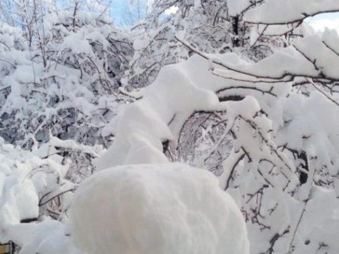 Bu rayonlara qar yağıb - Faktiki HAVA