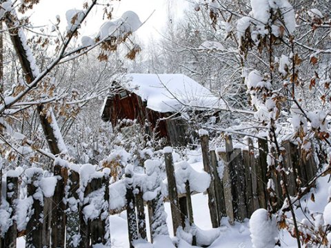 Bu rayonlara qar YAĞIR