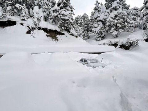 Lerikdə 64 sm qar var - FAKTİKİ HAVA