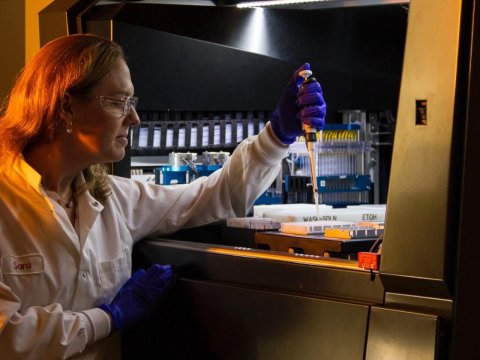 Azərbaycanda qadınlar&nbsp;elm və təhsil sahəsində liderdir