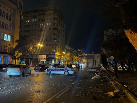 Yasamalda qəza: yük maşını ağaca çırpıldı&nbsp;