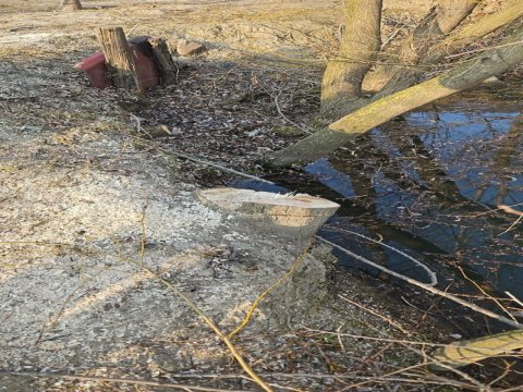 Restoranın həyətində ağaclar kəsildi - 3 nəfər cərimələndi