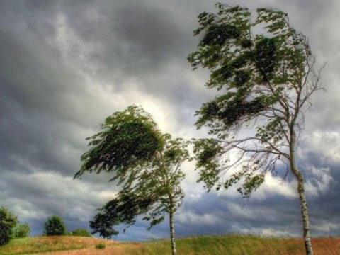 Güclü külək əsəcək - XƏBƏRDARLIQ