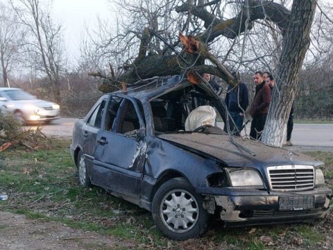 "Mercedes" ağaca çırpıldı - Ölən var