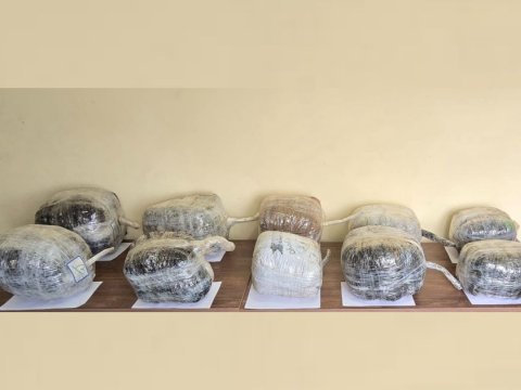 Naxçıvanda külli miqdarda narkotik məhv edildi