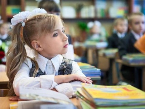 Deputat çağırış etdi: Rus məktəbləri bağlansın!