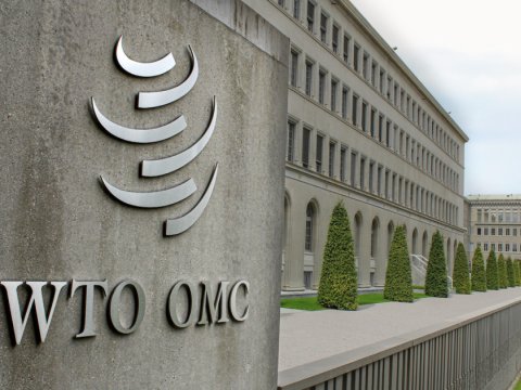 Azərbaycan bu təşkilata üzvlük yolunda - Nə itirəcəyik, nə qazanacağıq...