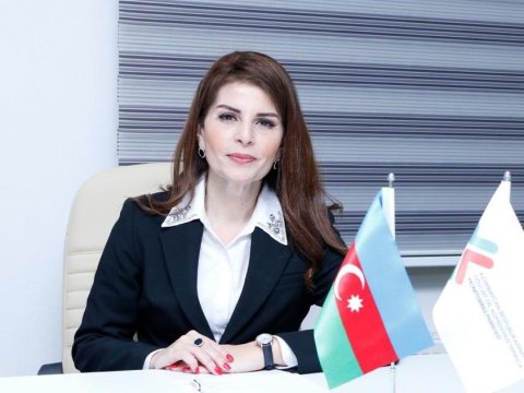 Dili heç bir dilə qurban vermək olmaz - Professor