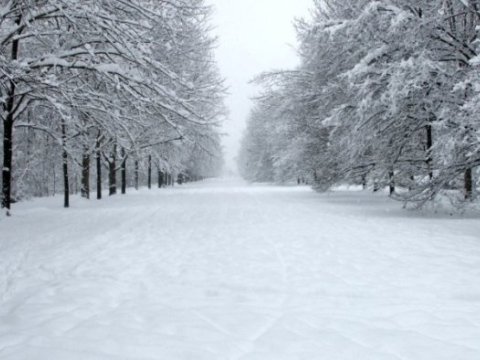 Qar ən çox bu rayona YAĞIB