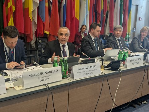 Azay Quliyev ATƏT iclasında çıxış etdi