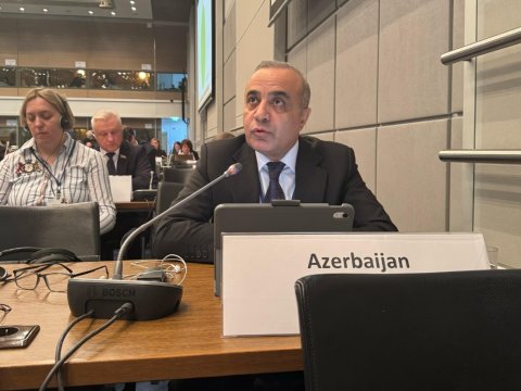 ATƏT güclü və qərəzsiz bir qüvvə olaraq qalmalıdır - Azay Quliyev