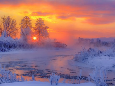 Qarlı hava ilə bağlı rəsmi açıqlama