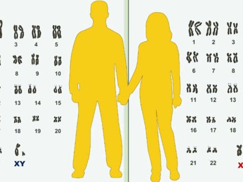 Qohum evliliyində genetik xəstəliklər niyə daha çox olur?