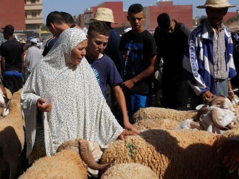 Kraldan Qurban bayramı çağırışı: Heyvan kəsməyin!