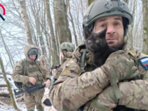 36 yaşlı Elvin Kurskda itkin düşdü