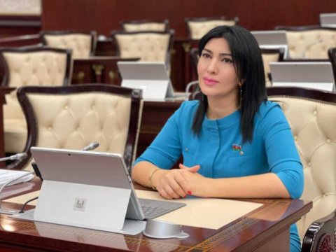 Xanım deputatdan həmkarına dəstək: "əgər ailədə qadın işləmirsə..."