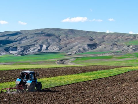 Ağalıda sakinlərə kənd təsərrüfatı təyinatlı torpaqlar veriləcək
