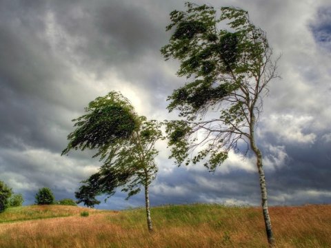 Bölgələrdə güclü külək əsəcək - XƏBƏRDARLIQ