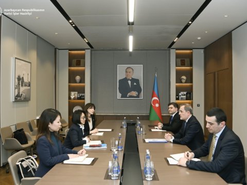 Azərbaycanın BMT qurumları ilə yeni əməkdaşlıq modeli AÇIQLANDI