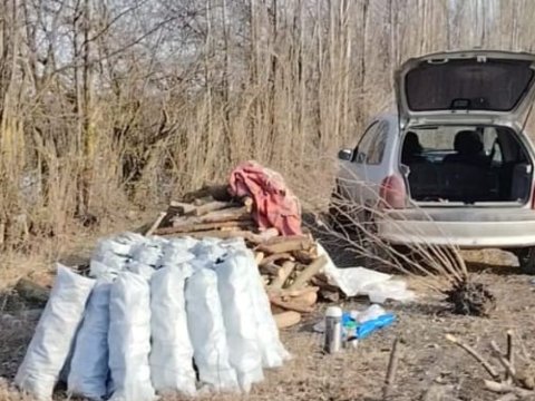 Qanunsuz kömür quyuları aşkarlandı&nbsp;- FOTOLAR